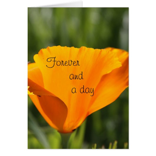 Voor altijd en een dag (Voorkant)