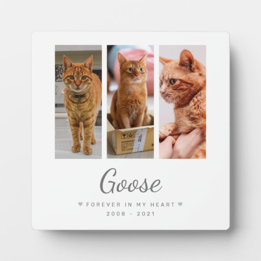 Voor altijd in mijn hart Gepersonaliseerd door Pet Fotoplaat (Voorkant)