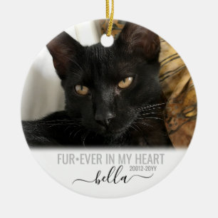 Voor altijd in mijn Heart Pet Memorial Keepslag Keramisch Ornament