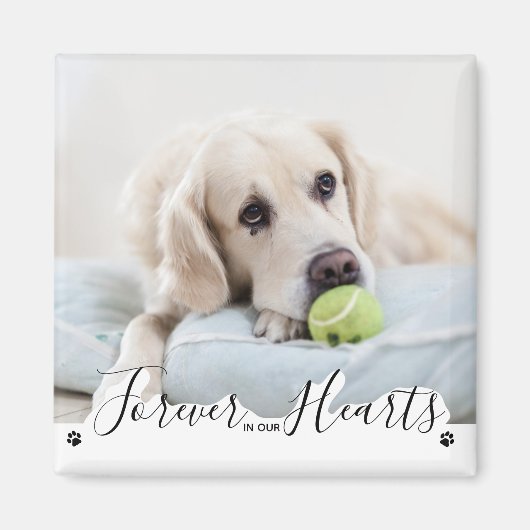 Voor altijd in ons hart Dog Pet Memorial Magneet (Voorkant)