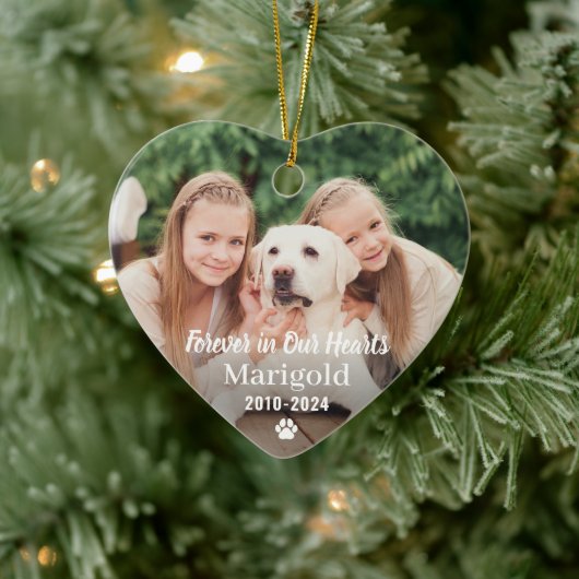 Voor altijd in ons hart Foto van Pet Memorial Keramisch Ornament (Boom)