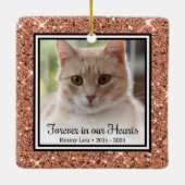 Voor altijd in ons hart kat keramisch ornament (Achterkant)