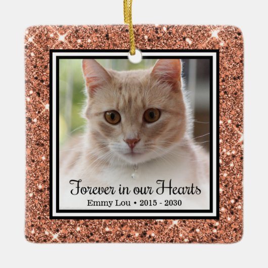 Voor altijd in ons hart kat keramisch ornament (Voorkant)