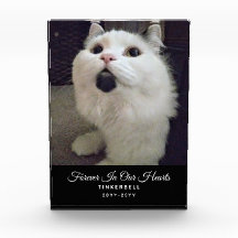 Voor altijd in ons hart Kat Memorial Pet Foto Naam