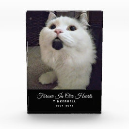 Voor altijd in ons hart Kat Memorial Pet Foto Naam