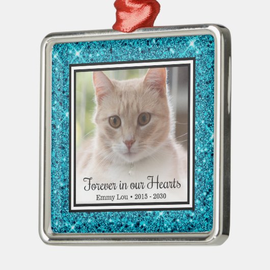 Voor altijd in ons hart kat metalen ornament (Links)