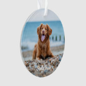 Voor altijd in ons hart - Regenboogbrug Pet Memori Ornament (voorkant)