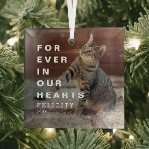 Voor altijd in onze harten Aangepaste kattenfoto-h Glas Ornament