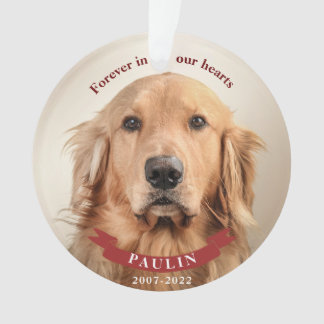 Voor altijd in onze harten - Custom Pet Photo Ornament