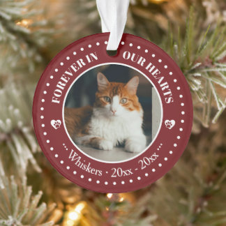 Voor altijd in onze harten Kat Foto en Naam Herden Ornament