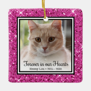 Voor altijd in onze harten kat   keramisch ornament