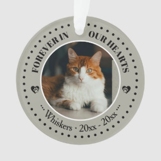 Voor altijd in onze harten kattenfoto en naam-herd ornament