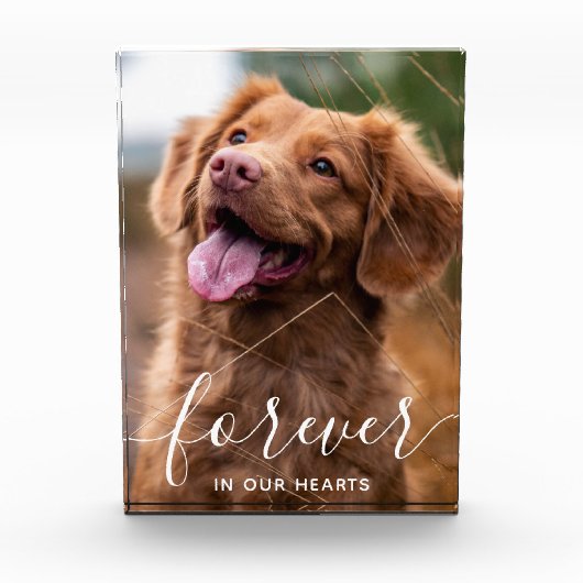 Voor altijd in onze harten Pet Memorial Dog Fotoblokken (Voorkant)