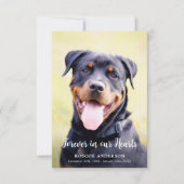 Voor altijd in onze harten Pet Memorial Moderne fo Bedankkaart (Voorkant)