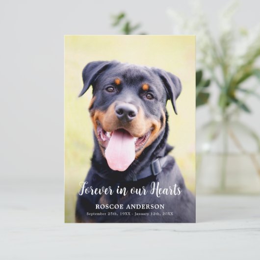 Voor altijd in onze harten Pet Memorial Moderne fo Bedankkaart (Staand voorkant)