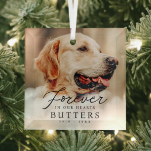 Voor altijd in onze harten Pet Memorial Moderne fo Glas Ornament