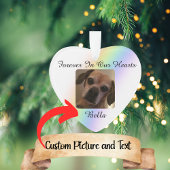 Voor altijd in onze harten Pet Rainbow Bridge Ornament