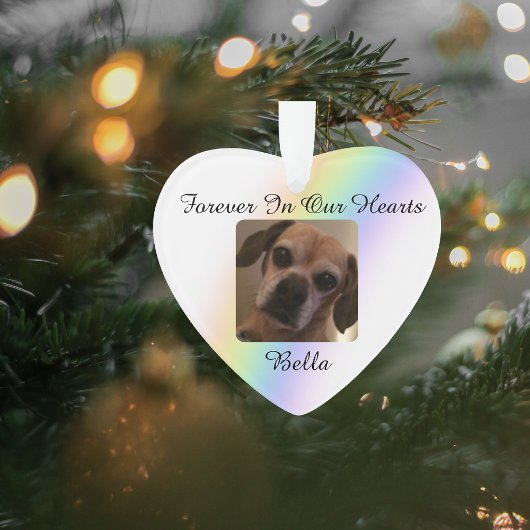 Voor altijd in onze harten Pet Rainbow Bridge Ornament