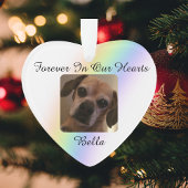 Voor altijd in onze harten Pet Rainbow Bridge Ornament