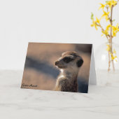 Voor altijd Mozart! De Kaart van groeten (Gele Bloem)