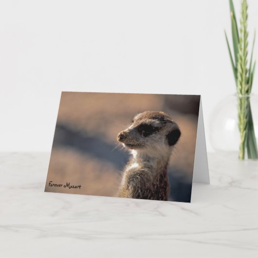 Voor altijd Mozart! De Kaart van groeten (Voorkant)