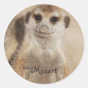 Voor altijd Mozart! Stickers