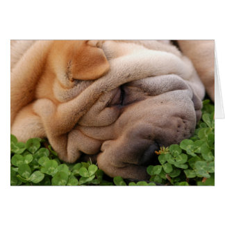 Voor altijd rond je hart