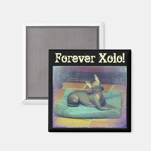 Voor altijd Xolo! Magneet (Voorkant / Achterkant)