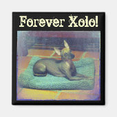 Voor altijd Xolo! Magneet (Voorkant)