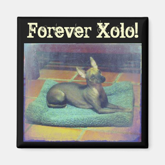 Voor altijd Xolo! Magneet (Voorkant)