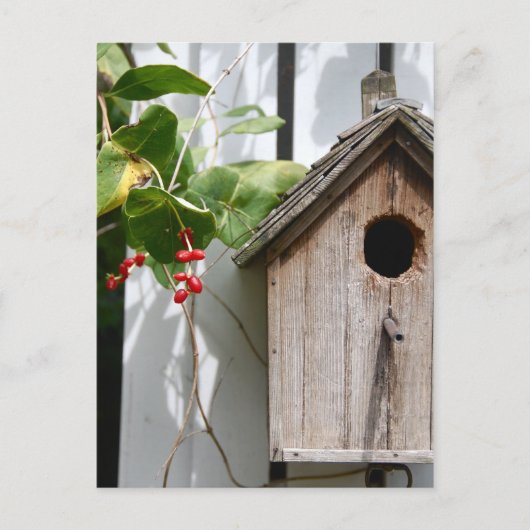 Voor Bob Briefkaart (Voorkant)