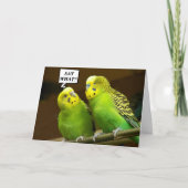 Voor Broeder Green Parakeets Foto Birthday Kaart (Voorkant)