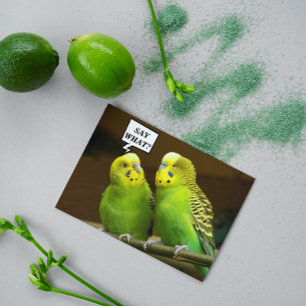 Voor Broeder Green Parakeets Foto Birthday Kaart