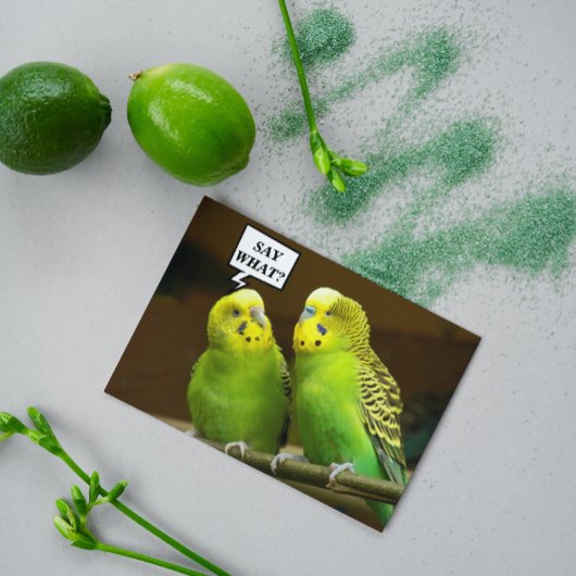 Voor Broeder Green Parakeets Foto Birthday Kaart