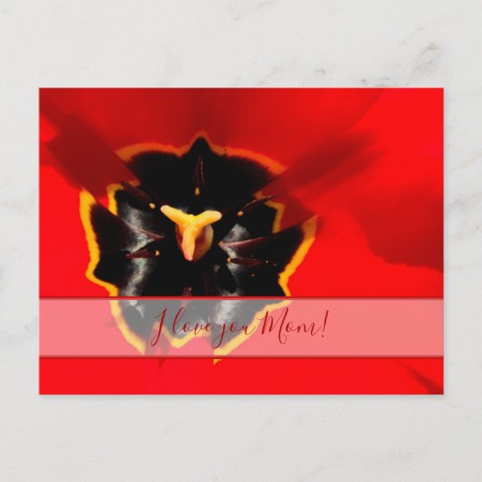 Voor de beste mama ter wereld! briefkaart (Voorkant)