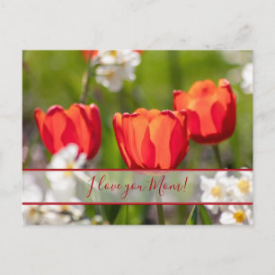 Voor de beste mama ter wereld! briefkaart