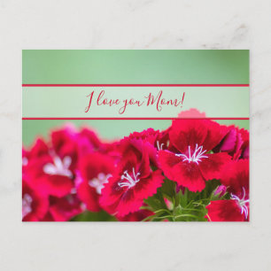 Voor de beste mama ter wereld op moederdag! briefkaart