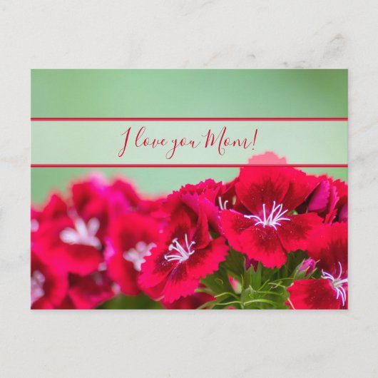 Voor de beste mama ter wereld op moederdag! briefkaart (Voorkant)