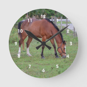 voor de beweiding van bruine en witte paarden ronde klok