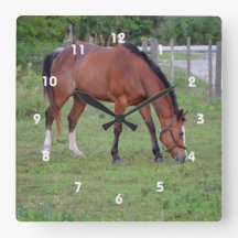 voor de beweiding van bruine en witte paarden