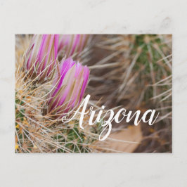 Voor de bloei, Arizona Briefkaart