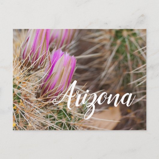 Voor de bloei, Arizona Briefkaart (Voorkant)