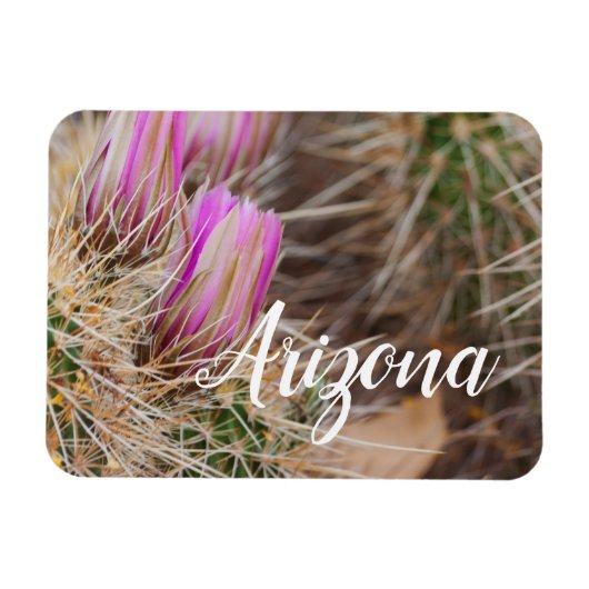 Voor de bloei, Arizona Magneet (Horizontaal)