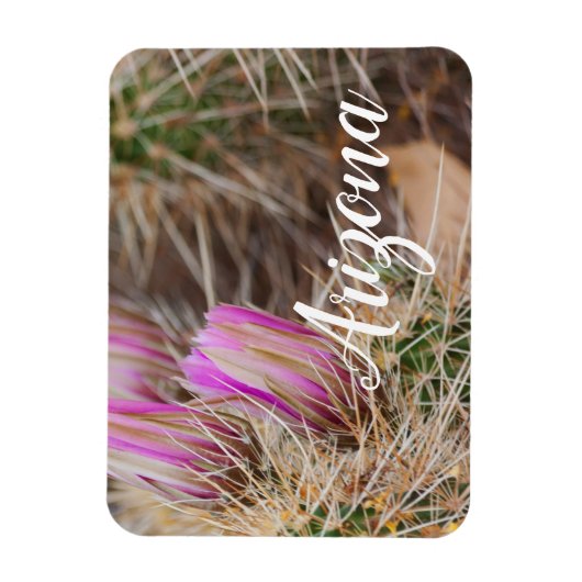 Voor de bloei, Arizona Magneet (Verticaal)