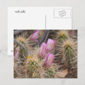 Voor de bloei briefkaart (Voorkant / Achterkant)