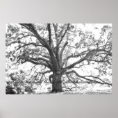 Voor de geest is dat nog steeds. poster (Voorkant)