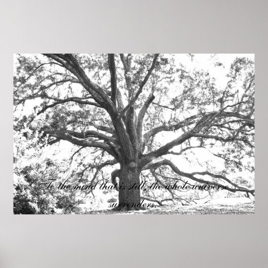 Voor de geest is dat nog steeds. poster (Voorkant)