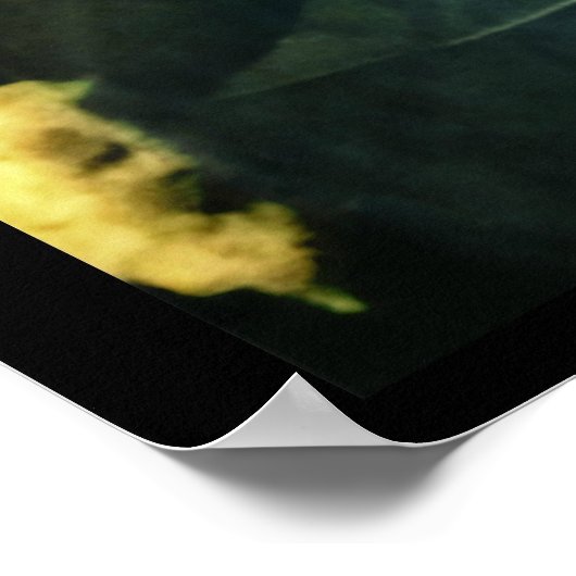 Voor de liefde van aap poster (Hoek)