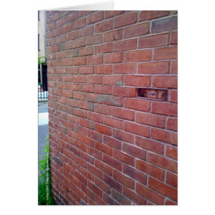 voor de liefde van god , montresor !