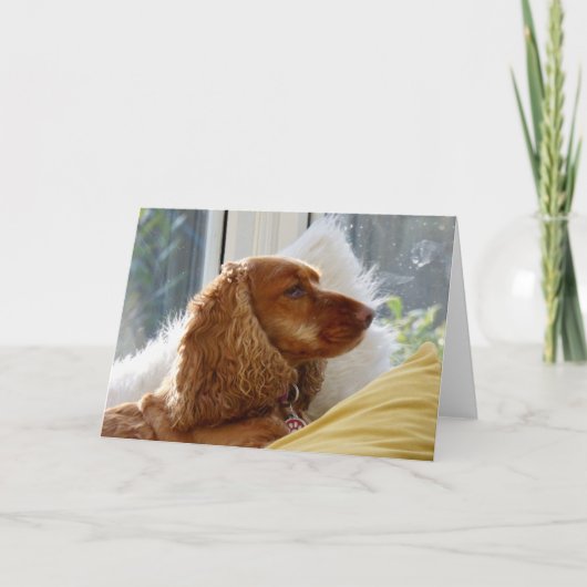 Voor de liefde van honden kaart (Voorkant)